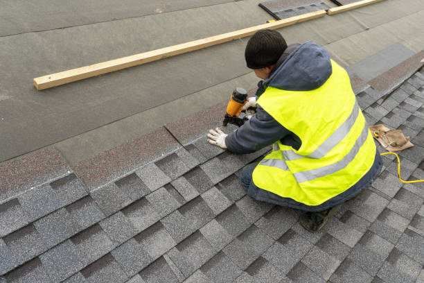 Professional Roofing Contractor in Stewartville, AL