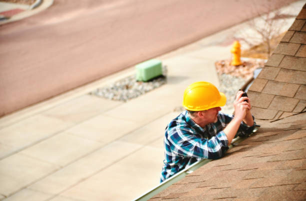 Best Roof Gutter Cleaning  in Stewartville, AL